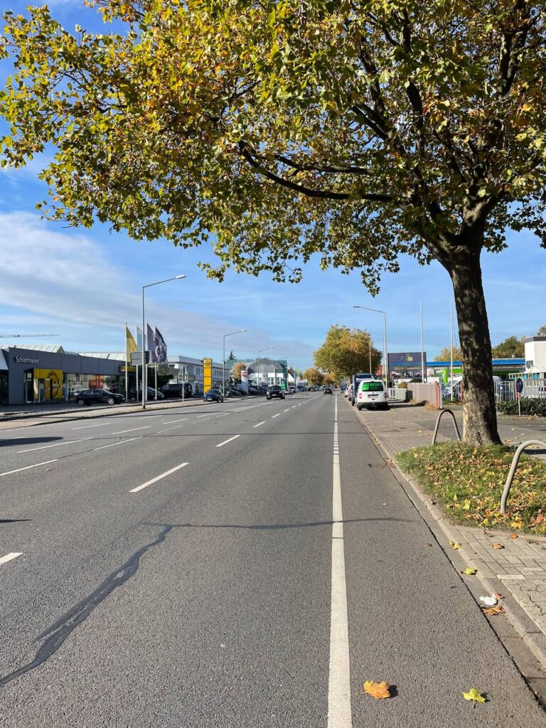 Schwer lösbares Dilemma an der Pagenstecherstraße